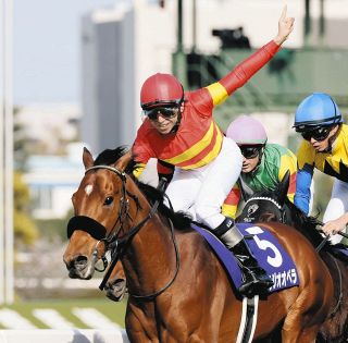 昭和52年 宝塚記念 トウショウボーイ 武邦彦 昭和52年 宝塚記念 トウショウボーイ 武邦彦 昭和52年 宝塚記念