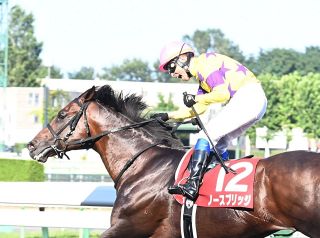 生まれた瞬間につばをつけて」3頭のG1馬を所有…大魔神・佐々木主浩さん