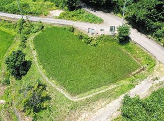 【田んぼ記者 挑戦記】（８）稲と水 悩ましい関係