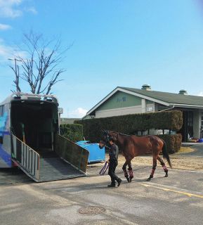 引退メイケイエール、栗東を退厩 生まれ故郷、北の大地へ 見送る武英師「これが終わりでなく、物語の始まりに」【競馬】