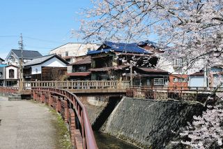 桜舞い、風情ある橋…ところで建てたのは誰？　岐阜県・日本大正村に「勝手橋」、情報募る