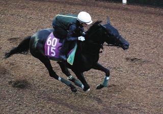 値下げ交渉可 中田夕貴選手サイン入り うめぼー ぬいぐるみ 約20cm