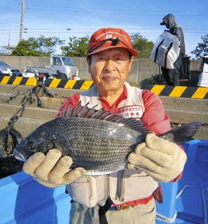 グレ 好機 モンスターにぶち切られ 三重県南伊勢町・贄浦磯：中日