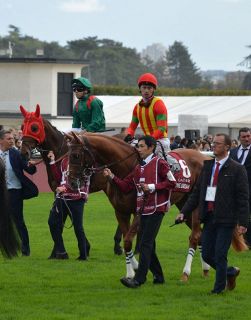◆　競馬　JRA　◆　ジャンタルマンタル　◆朝日杯フューチュリティ◆２種類セット ⑥◇ 競馬 JRA ◇ ジャンタルマンタル ◇朝日杯フューチュリティ
