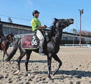 【函館競馬】武豊を背にダート3戦2勝のジャスティンアースが登場、距離延長も問題なし
