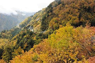星空のセーヌ川　油絵 二口正和 油彩画 F4号 星空のセーヌ川 油絵 二口正和 油彩画 F4号 - メルカリ