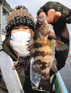 東京湾に春告げるメバルが来たあ～　東大井「いわた釣船店」から出船
