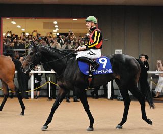 イクイノックス電撃引退、世界一の馬は世界一のまま… 通算10戦8勝（重