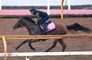 アーモンドアイが“世紀の一戦”ジャパンカップで有終の美…コン