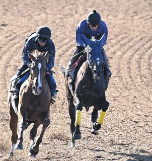 新人王に輝いた小沢大仁騎手 ”負けず嫌いの性格と感謝の気持ち”その