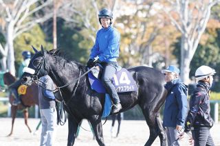 フィアスプライド、現役引退　通算成績21戦5勝　今後は繁殖馬となる予定