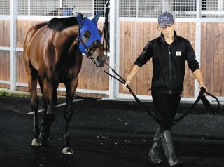 オグリにディープ…名馬がズラリ並ぶ切手発行 競馬法100周年記念【中央競馬】競馬法100周年：中日スポーツ・東京中日スポーツ