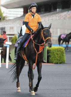 2002年皐月賞馬、ノーリーズン死す 25歳 通算12戦3勝：中日スポーツ
