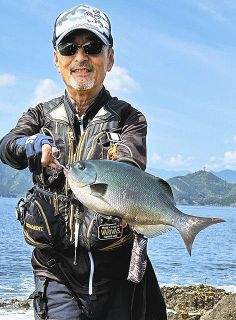 強烈！尾長グレ４２センチ　三重県紀北町・白浦磯