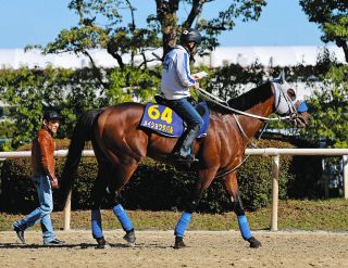 競馬】初出走初Vで話題集めるインゼルレーシング松島悠衣代表「世界を