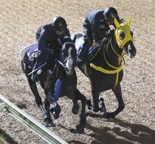 2000年のダービー馬アグネスフライトが老衰で死ぬ 26歳 ：中日スポーツ
