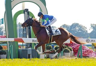 藤田菜七子、おお泣きして引退届提出も…根本康広調教師はJRAとの相違点