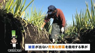 ＜スポットライト現場＞　松川町の農家「ゆうき給食とどけ隊」