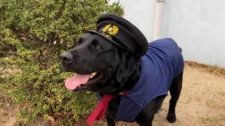【動画】お手柄犬の「おまわりさん」が防犯呼びかけ　愛知・西尾の「チョロ松君」