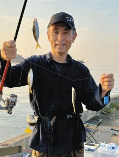 マアジ調査正解！！　サビキに１６センチ頭１７６匹躍る　愛知・常滑港