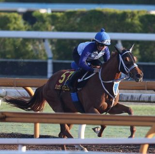 コントレイルが馬なりで快勝 父ディープインパクトに続く史上3頭目の