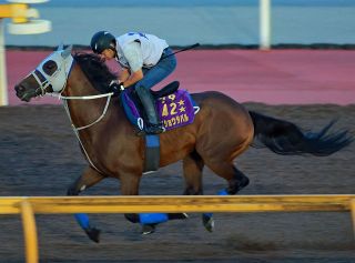 2012年凱旋門賞、オルフェーヴル惜敗2着…池江調教師が語った後悔｢あの