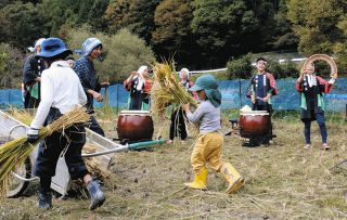 田楽座のおはやし響く田んぼ にぎやかに稲刈り　伊那市の「うまや七福」
