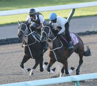 角田大河騎手が死去、競馬一家に生まれ、JRA史上3人目のデビュー