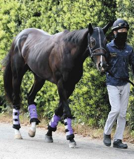 テウメッサは未勝利戦＆アネモネSから一転7枠13番と外め枠 金成師は意