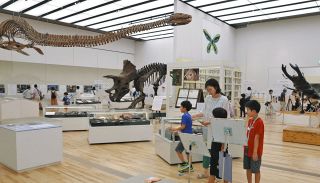 恐竜の化石から昆虫まで、標本の世界　県総合博物館企画展