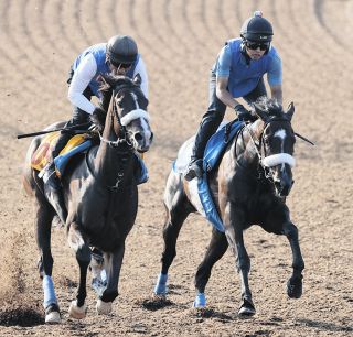 アーモンドアイが“世紀の一戦”ジャパンカップで有終の美…コントレイル2着、デアリングタクト3着、三冠馬3頭で決着：中日スポーツ・東京中日スポーツ