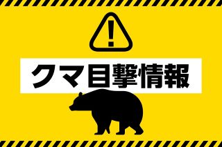 長野・松本で体長1mのクマ出没　河川内移動する1頭を目撃