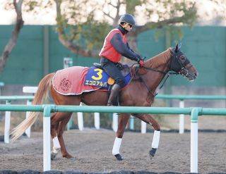 東京5R新馬】548キロの巨体ノーブルサヴェージが力強く抜け出す 「2歳
