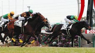 【中京6R新馬戦】父はキタサンブラック、７番人気のキタサンシュガーがデビュー戦勝利