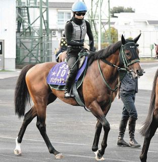 迫る新種牡馬産駒の2歳馬デビュー サトノダイヤモンドらに加えて実績
