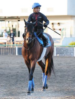 JRA 函館記念 重賞 コンプリート3点セット mqdefault.jpg