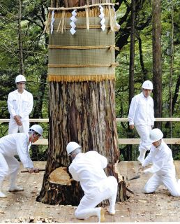 ヒノキの大木に3方向からおのを振るう杣夫たち＝中津川市加子母で