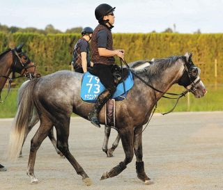 ミニ四駆　大井競馬場　矢野貴之 モデル ミニ四駆 大井競馬場 矢野貴之 モデル