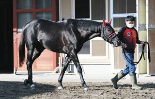 アスクワイルドモア前走10着の敗因は『落鉄』…蹄鉄は競走能力をそぐ  