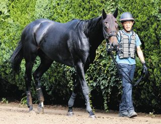 【府中牝馬S】格上挑戦カニキュル開花の時　菊沢師「調教では見せないようなストライドを競馬で見せるのだからポテンシャルは高い」