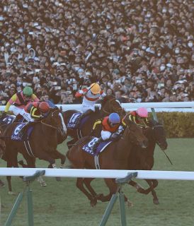 新人騎手・横山琉人がデビュー戦14着 父は横山義行さん「模擬