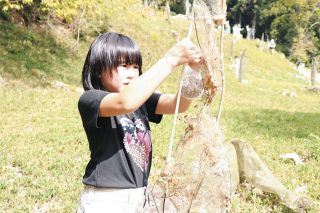 苗木の周りにヒトデをつるす　大野で食害対策
