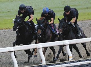 【ラジオNIKKEI賞】2番人気センツブラッドはゴール前寸前で差し切られる　菅原明良騎手「勝ちたかった…よく頑張った」愛馬たたえる