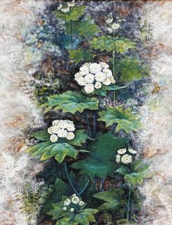 海部公子(あまべきみこ)作 九谷 色絵 陶板画 木通(アケビ) 海部公子(あまべきみこ)作 九谷 色絵 陶板画 木通(アケビ) 海部