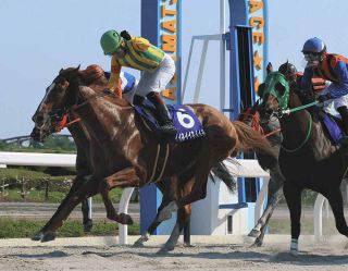 ミュージアムマイル 日本ダービー セット 日本ダービー登録馬】2冠狙うミュージアムマイルなど20頭が