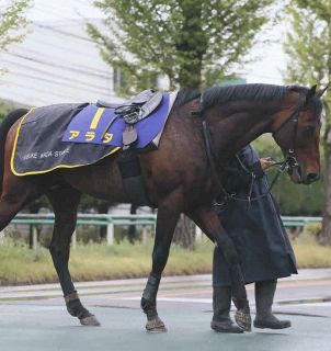 デアリングタクト　新聞記事 初の無敗牝馬3冠 デアリングタクト、秋華賞V：朝日新聞