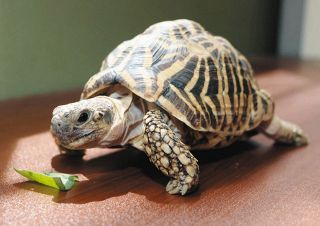 &atilde;&aring;&ccedil;&raquo;&atilde;&aring;&auml;&ordm;&ccedil;&ordm;&aring;&atilde;&reg;&aelig;&deg;&aring;&reg;&para;&atilde;&laquo;&aring;&cedil;&aring;&deg;&ccedil;&uml;&reg;&atilde;&reg;&atilde;&curren;&atilde;&sup3;&atilde;&atilde;&atilde;&middot;&atilde;&not;&atilde;&iexcl;&iuml;&frac14;&aelig;&atilde;&iexcl;&auml;&cedil;&raquo;&atilde;&aelig;&cent;&atilde;&auml;&cedil;&shy;