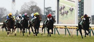 2017年の東京新聞杯Ｖ馬ブラックスピネルがレース中に骨折、予後不良に　