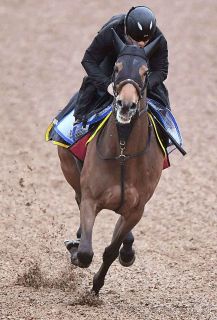今月引退の元騎手・勝浦正樹さん、5月4日に東京競馬場で引退式 今月引退の元騎手・勝浦正樹さん、5月4日に東京競馬場で引退式