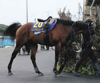 オークス】G1初挑戦でジュウリョクピエロが樫の女王に 今村聖奈騎手は